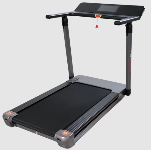 Беговая дорожка Ergonova MaxBurn Pro